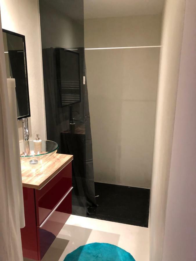 Lulu Philippe Apartment Saint-Etienne  Bagian luar foto